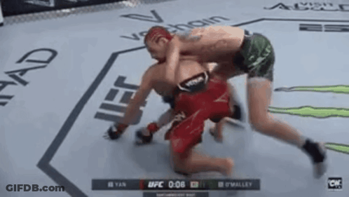 Two Men In Boxing Ring Fr99917 L Common GIF