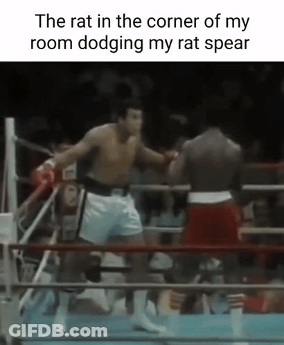 Two Men In Boxing Ring The Rat In The Corner Of My Room Dodging My Rat Spear GIF