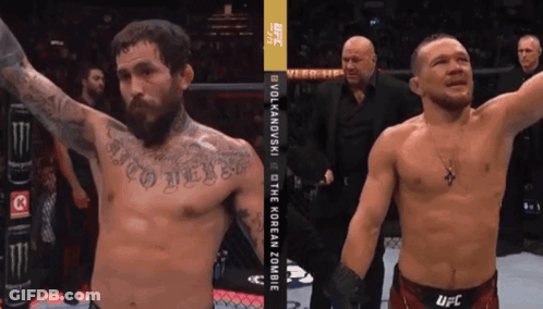 Two Men In Boxing Ring With UFC GIF