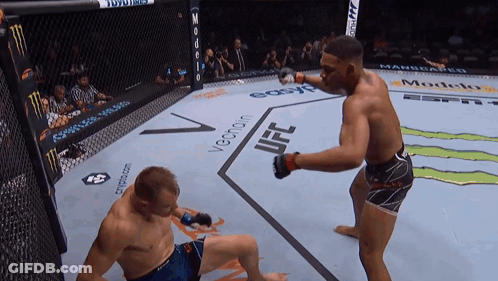 Two Men In Boxing Ring With UFC On Ground GIF