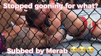 Two Men In Cage Stopped Going For What Merab GIF