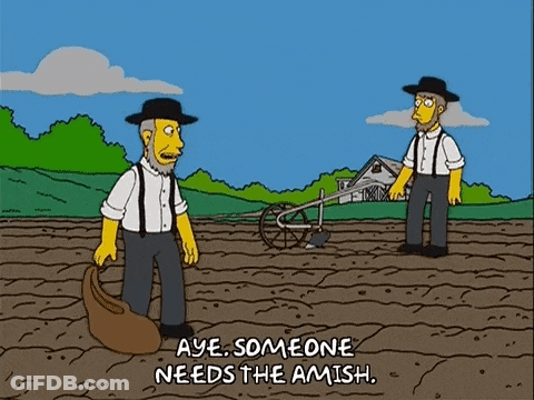 Two Men In Field With Aye Someone Needs The Amish GIF