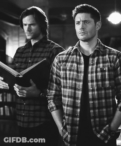 Two Men In Plaid Shirts One Holding Book GIF