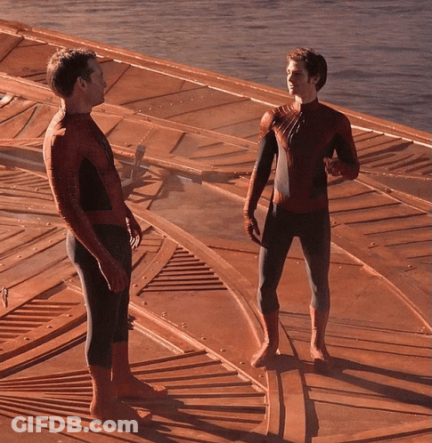 Two Men In Spiderman Costumes Standing On Wood GIF