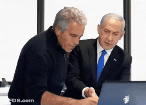 Two Men In Suits Are Looking At A Laptop With A Palm Tree On The Screen GIF