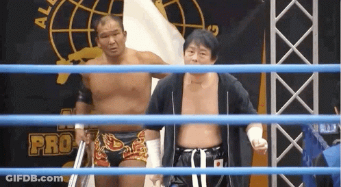 Two Men In Wrestling Ring Pro On Back GIF
