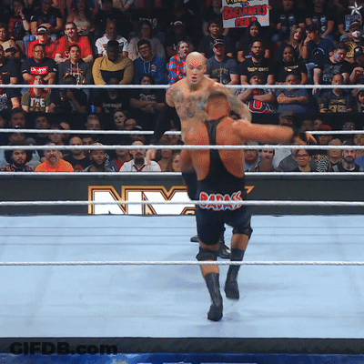 Two Men In Wrestling Ring With NY Sign GIF