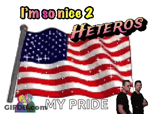 Two Men Next To American Flag Pride GIF