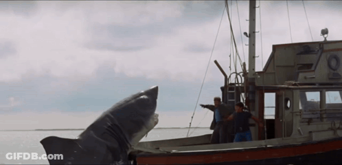 Two Men On A Boat With A Shark Coming Out Of The Water GIF