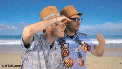 Two Men On Beach In Pineapple Shirts And Straw Hats GIF