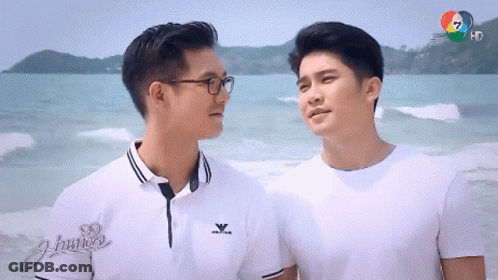 Two Men On Beach With Arctica Shirt GIF