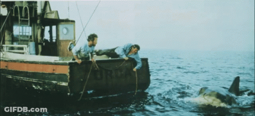 Two Men On Boat With Ford GIF