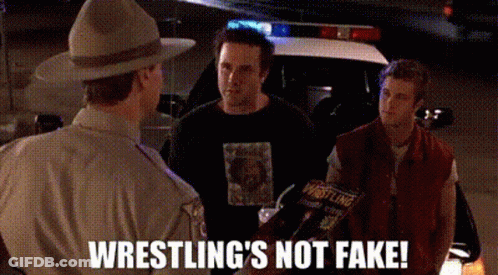 Two Men Police Car Wrestling's Not Fake Caption GIF