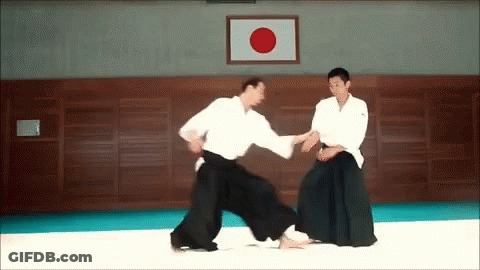 Two Men Practicing Martial Arts In Gym With Japanese Flag GIF