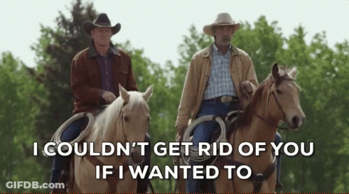 Two Men Riding Horses Saying I Couldn't Get Rid Of You If I Wanted To GIF