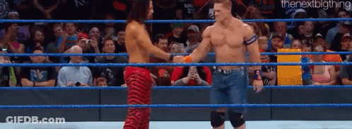 Two Men Shaking Hands In A Wrestling Ring With The Next Big Thing Written On The Bottom GIF