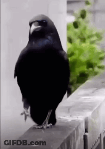 Two Men Shaking Hands In Front Of Ishowspeed Wall GIF