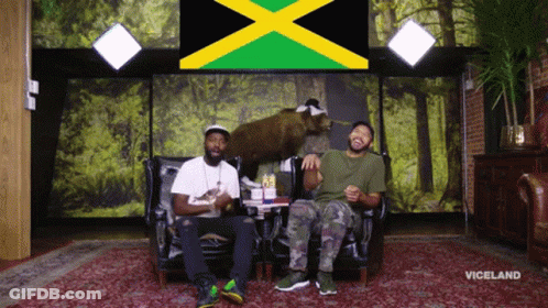 Two Men Sit On A Couch In Front Of A Wall With A Jamaican Flag GIF