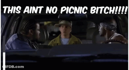 Two Men Sitting In A Car With The Words This Aint No Picnic Bitch GIF