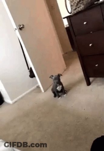 Two Men Standing In Living Room One Screaming GIF