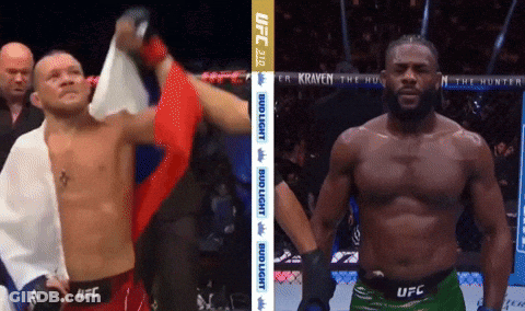 Two Men Standing In UFC Fight GIF
