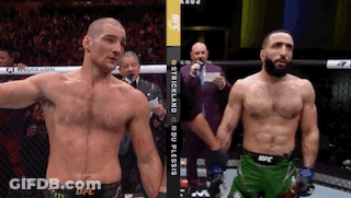 Two Men Standing In UFC Match GIF