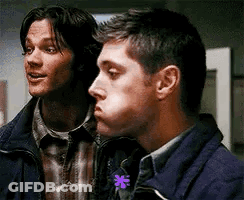 Two Men Standing One Holding Flower GIF