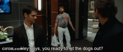 Two Men Talking About Letting Dogs Out GIF