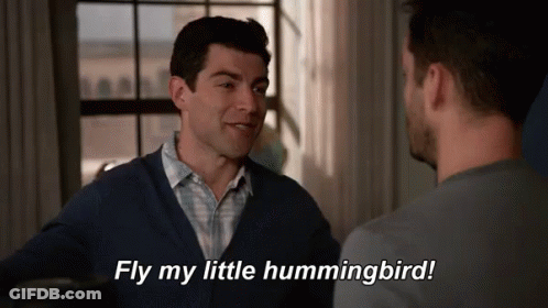 Two Men Talking One Says Fly My Little Hummingbird GIF