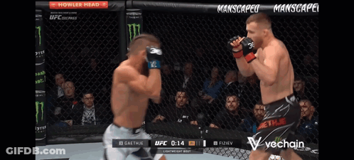 Two Men UFC Cage Fight Sponsored By Monster GIF
