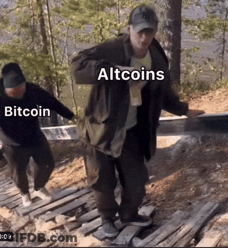 Two Men Walking Down Wooden Staircase With Altcoins And Bitcoin GIF