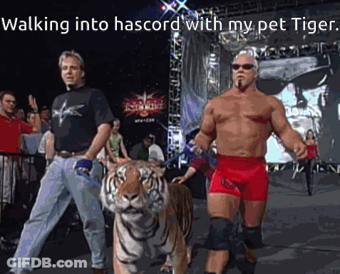 Two Men Walking Into Hascord With A Tiger GIF