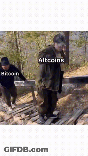 Two Men Walking Up Wooden Staircase One Wearing Altcoins Hat GIF