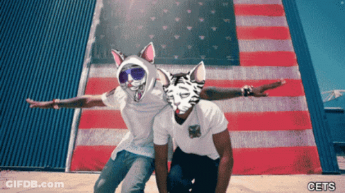 Two Men Wearing Cat Masks Are Posing In Front Of An American Flag With The Letters Cets Below Them GIF