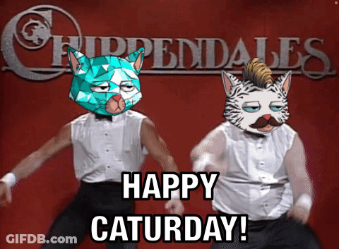 Two Men With Cats On Faces Dancing Happy Saturday GIF