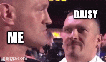 Two Men With Mustaches In Boxing Ring GIF