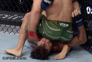 Two Men Wrestling In Cage GIF