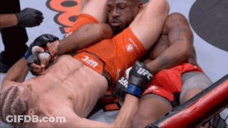 Two Men Wrestling In Cage GIF