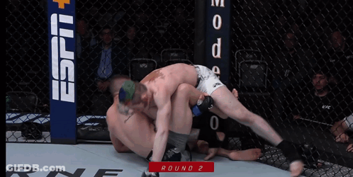 Two Men Wrestling In Cage Round 2 GIF