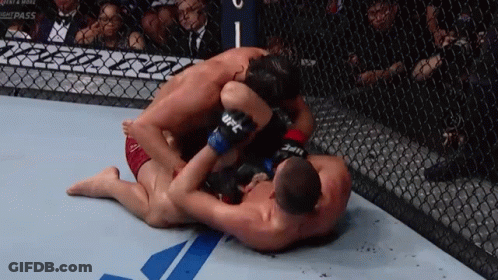 Two Men Wrestling In Cage With UFC Gloves GIF