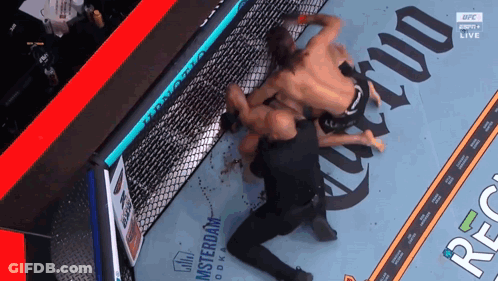 Two Men Wrestling In Cage With UFC Logo GIF