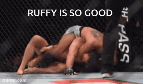 Two Men Wrestling In Ring Ruffy Is So Good GIF