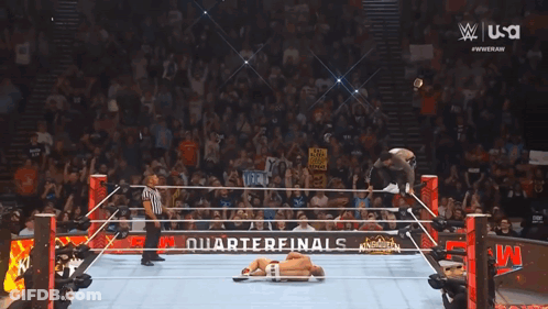 Two Men Wrestling In Ring With MMA Boxing Glove GIF