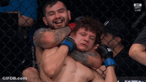 Two Men Wrestling In UFC Cage GIF