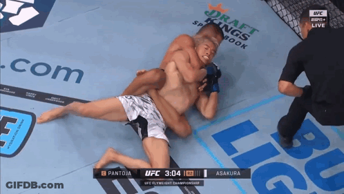 Two Men Wrestling In UFC Ring GIF