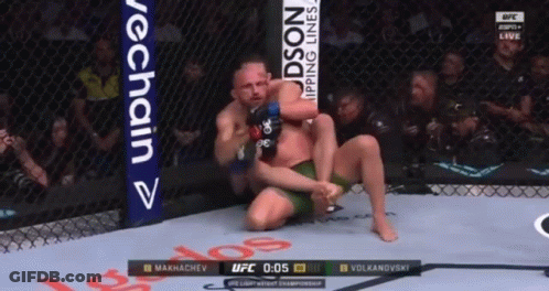 Two Men Wrestling In UFC Ring GIF