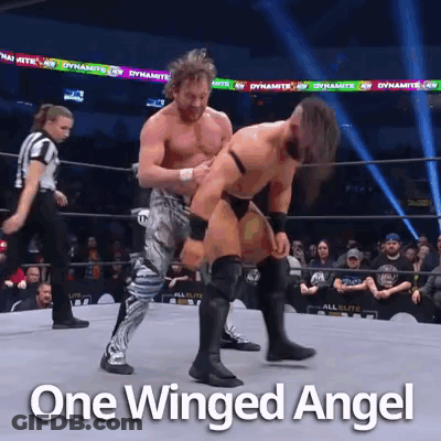 Two Men Wrestling Ring One Winged Angel GIF
