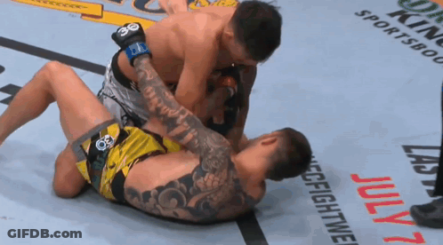 Two Men Wrestling Ring Sportsbook July 7 GIF