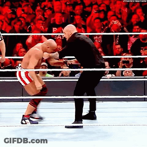 Two Men Wrestling With Referee And Crowd GIF