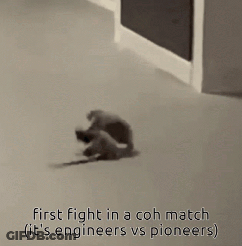Two Mice Are Standing Next To Each Other With The Caption First Fight In A Coh Match It 'S Engineers Vs Pioneers GIF